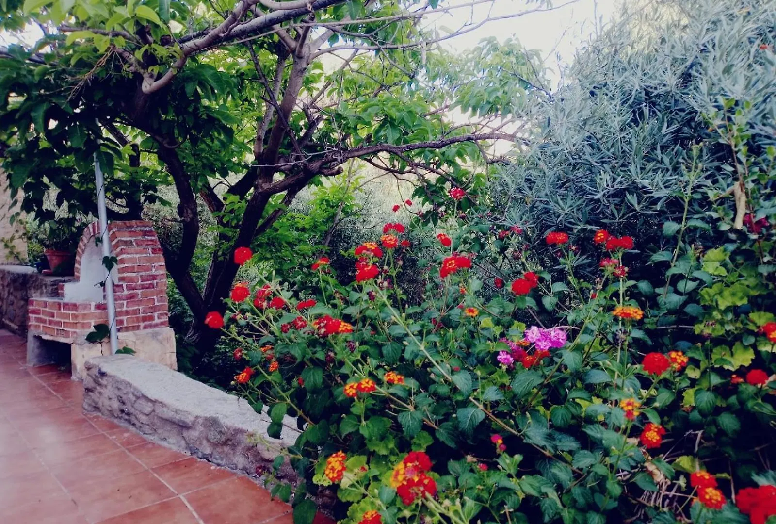 Cortijo Rural Violeta location